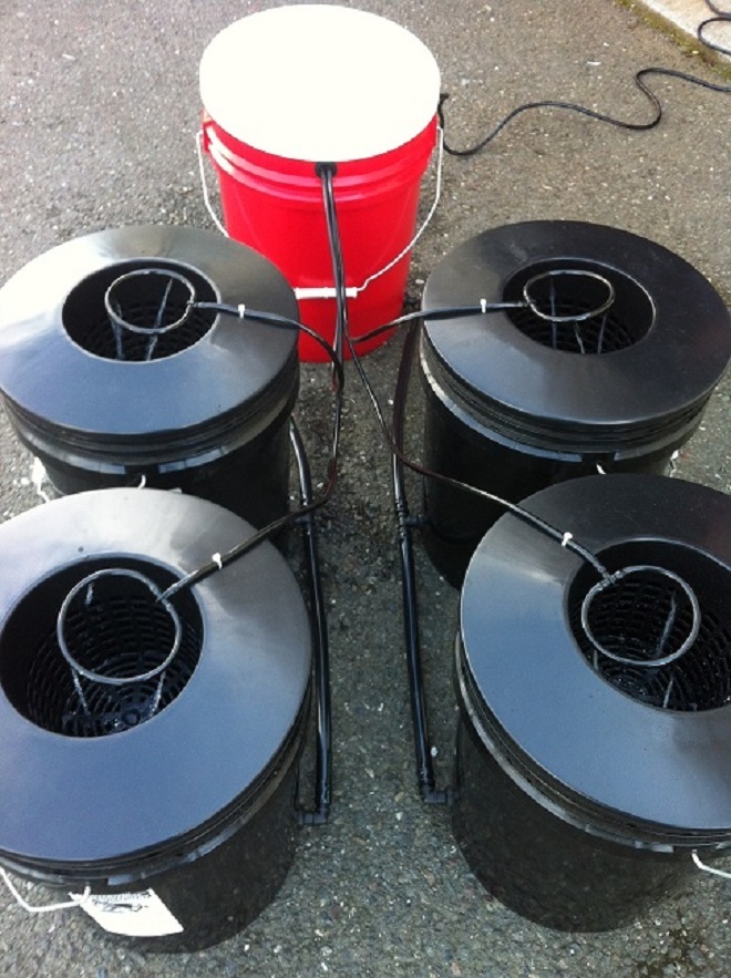 Bay Hydro Custom Top Fed Hydroponic Bucket Systems ANY ## SITES U PICK $$SAVE$$