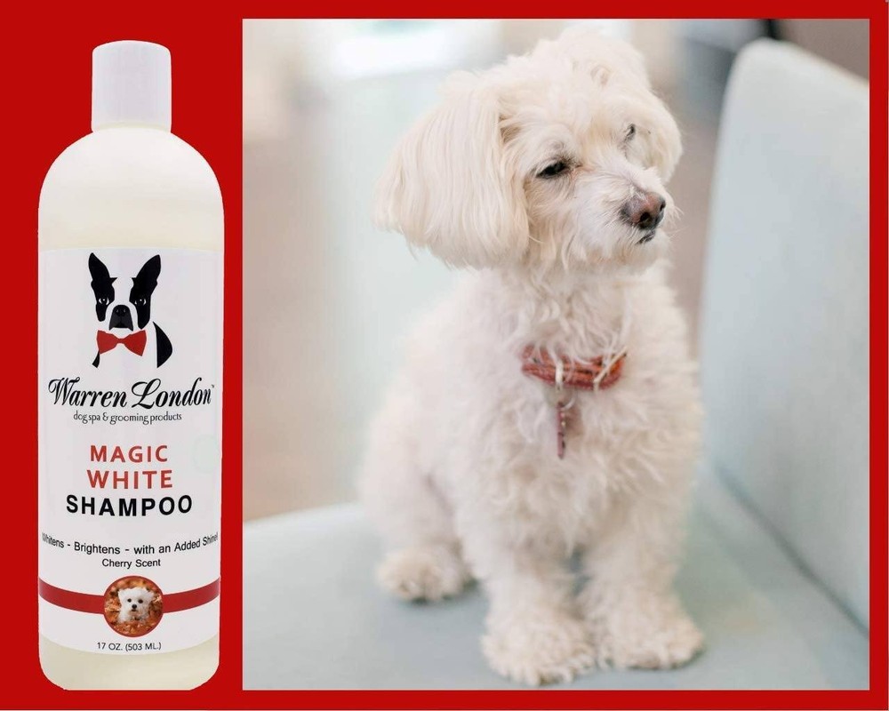 Magic White - Brightening Shampoo - Professional Size