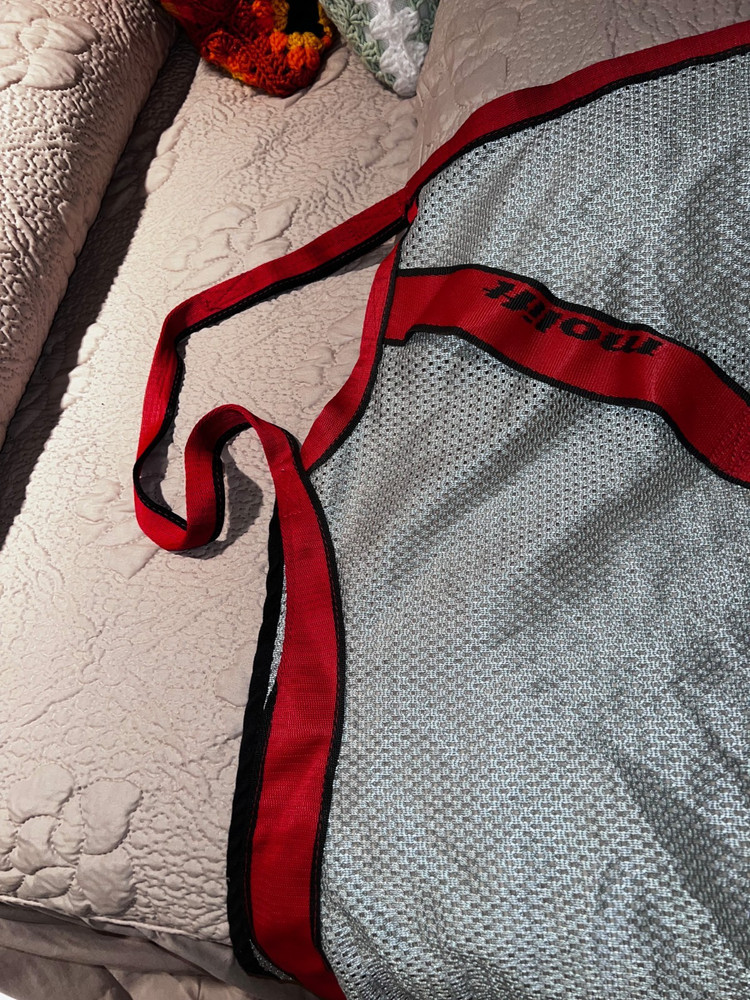 Molift Easy 4-Point Basic Bathing RgoSling