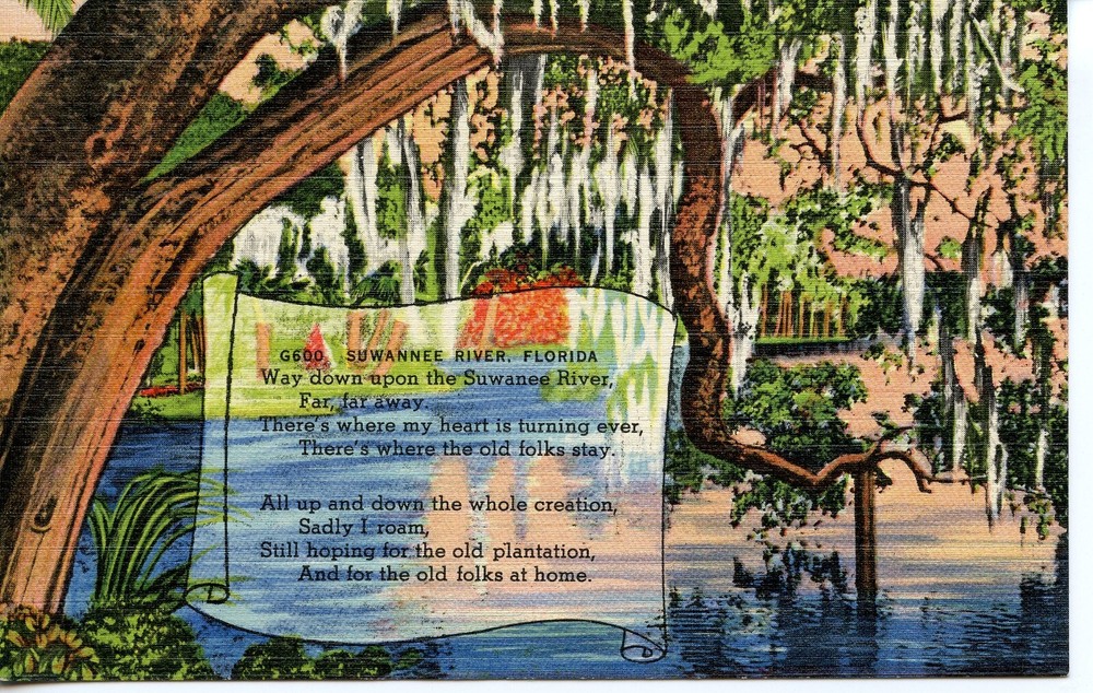 SUWANNEE RIVER, FL - PC497