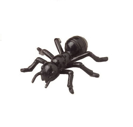 Large Black Carpenter Ant Toys (72 Pack) Plastic. 1.5"