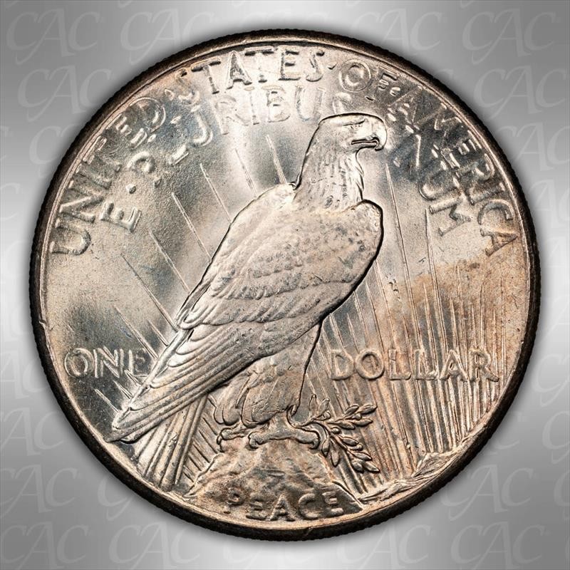 1928 $1 CACG MS 64