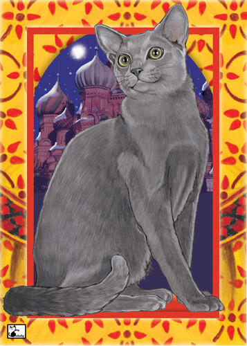 Russian Blue Cat Blank Note Cards Boxed