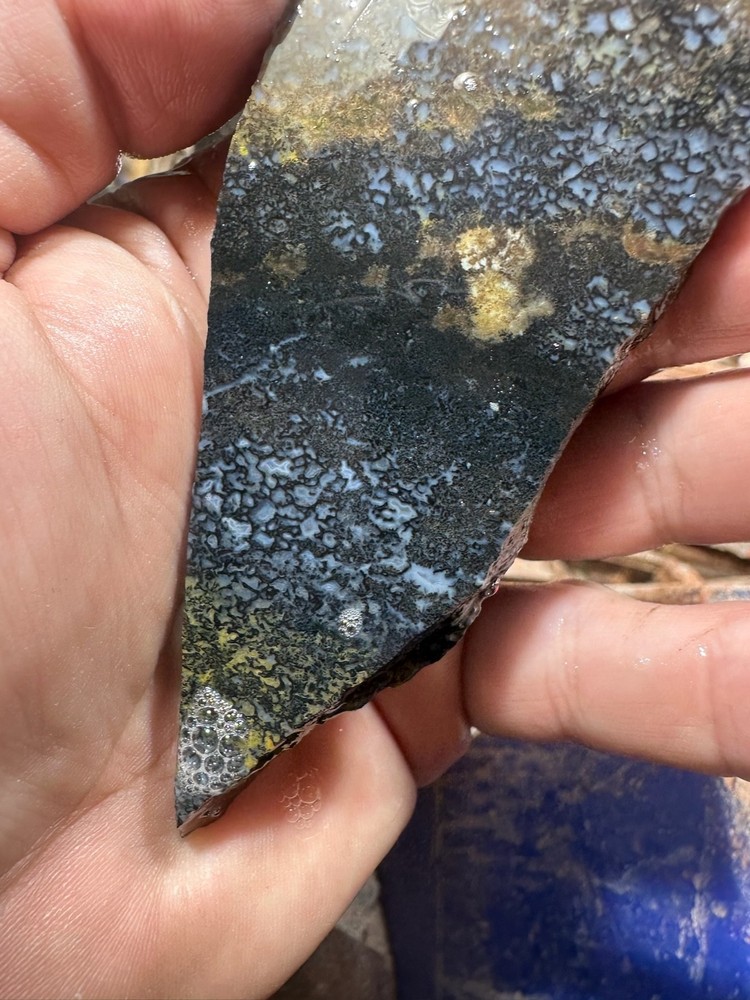 Dinosaur bone rough slab.