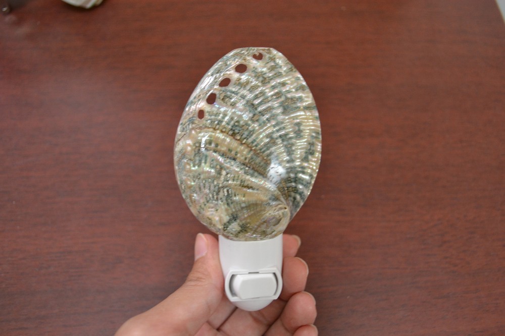 GREEN ABALONE SEA SHELL NIGHT LIGHT 7487