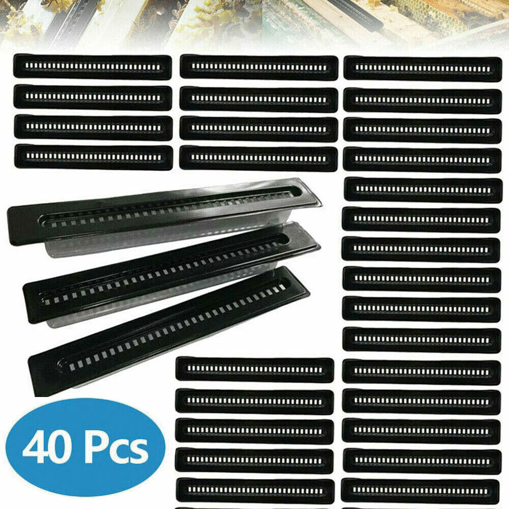 40X Black Small Bee Hive Beetle Blaster BeeHive Beetle Trap Beekeeping Tool EAA