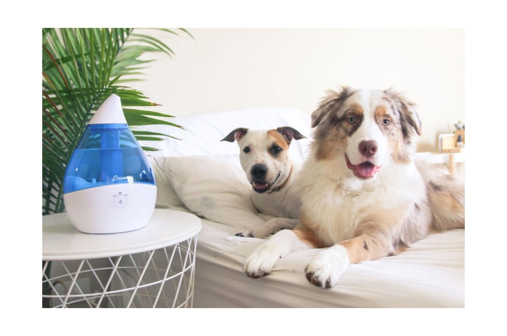 Cool Mist Air Humidifier with Adjustable Humidity Control and Aroma Diffuser