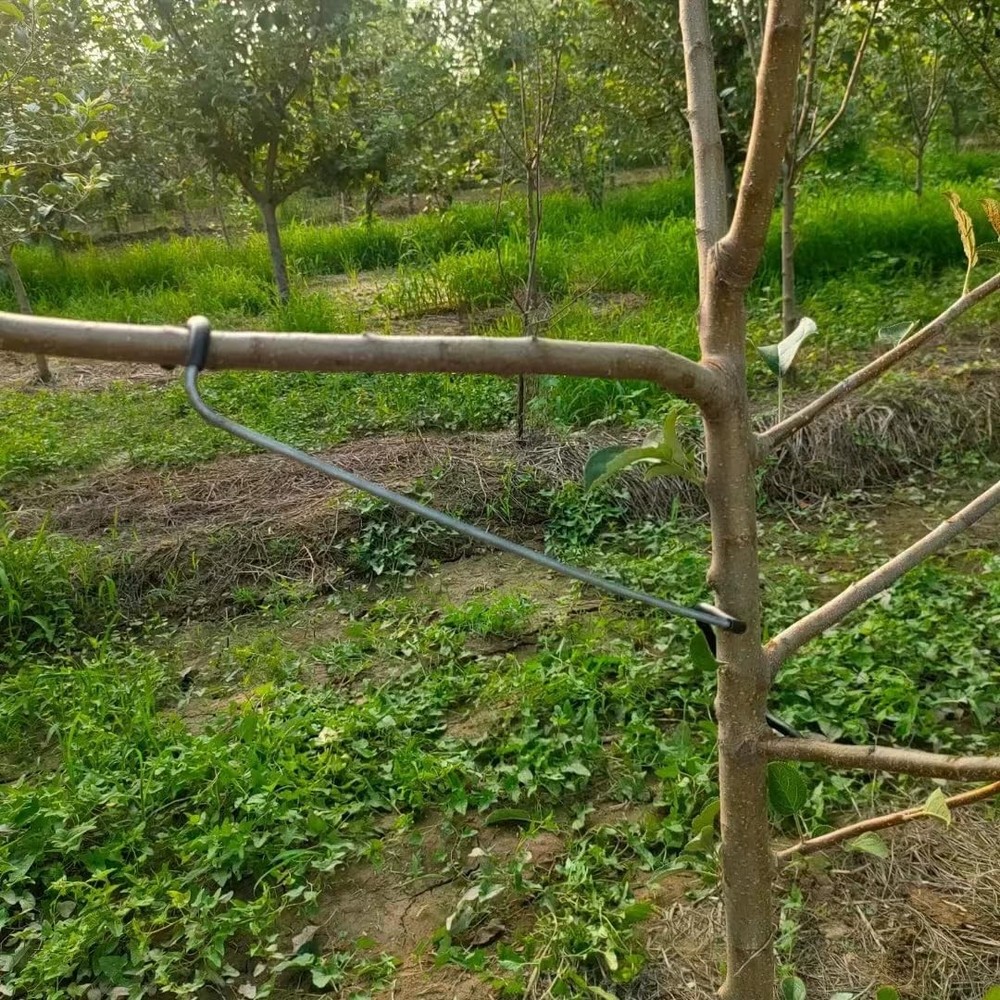 Fruit Tree Limb Spreader 10pcs14inch Branch PullerNew Fruit Branch Spreader P