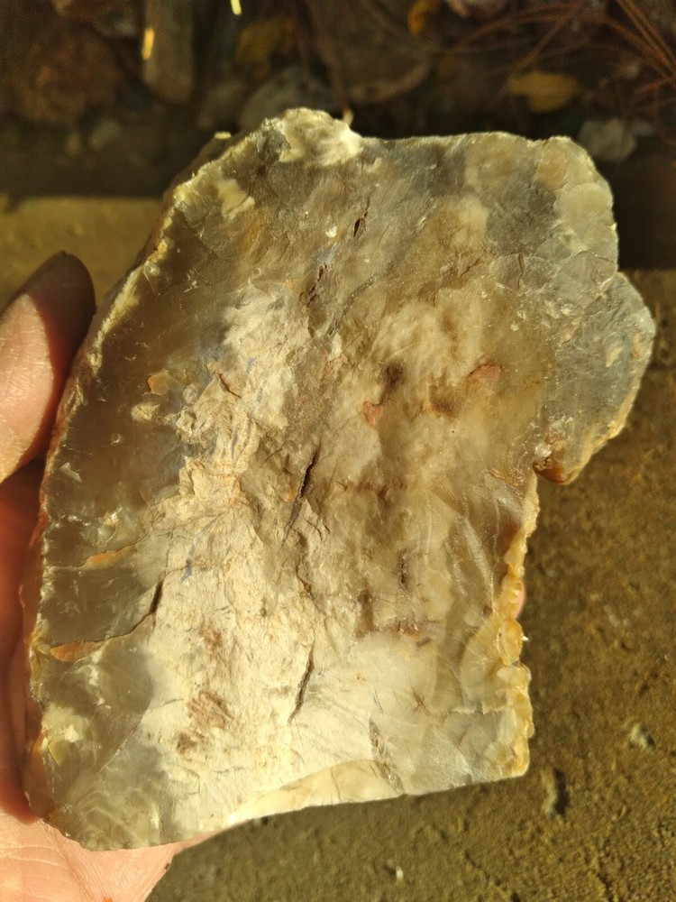 Opalized Wood Slab
