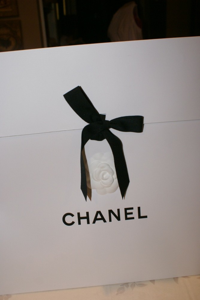 CHANEL Empty ENVELOPE BAG with Cameila
