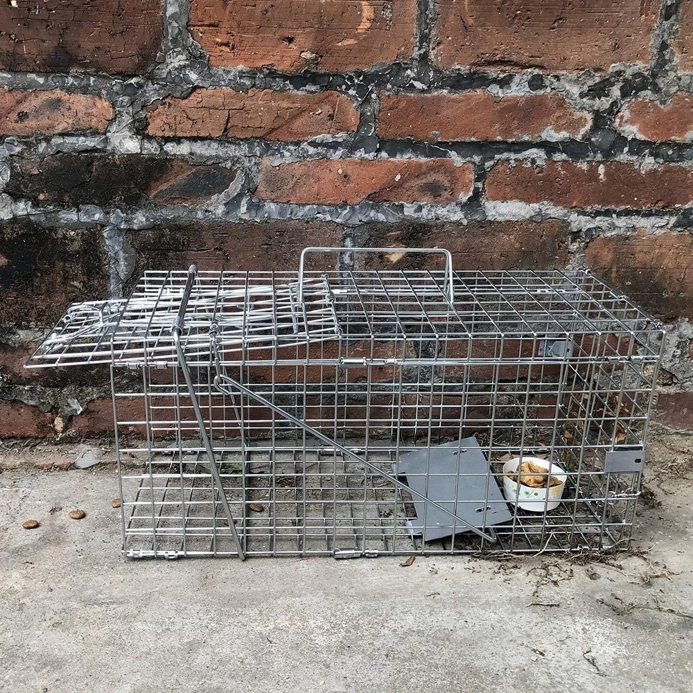 Squirrel Trap for Rabbits, Weasels - Catch and Release