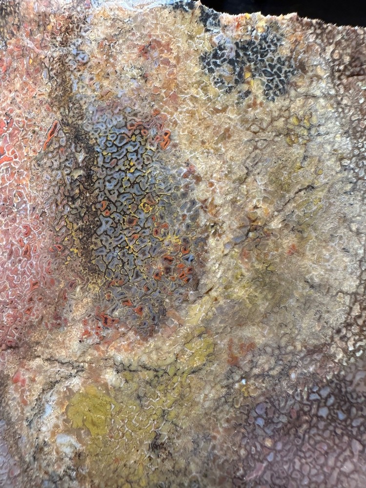 Dinosaur bone rough **hxtled slab.