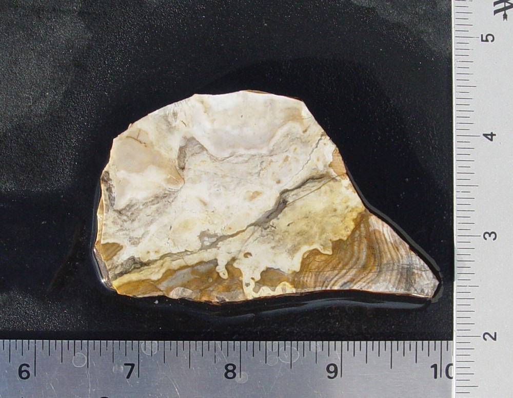 Ohio Flint  Nether's Farm  Lapidary Slab         T1223