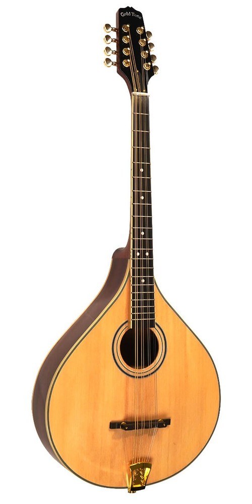 GOLD TONE OCTAVE MANDOLIN W/ HARD CASE