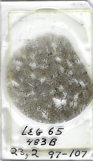 Thin-section Mount from DSDP Hole 483B Petrographic Microscope Slide 483B-23-2