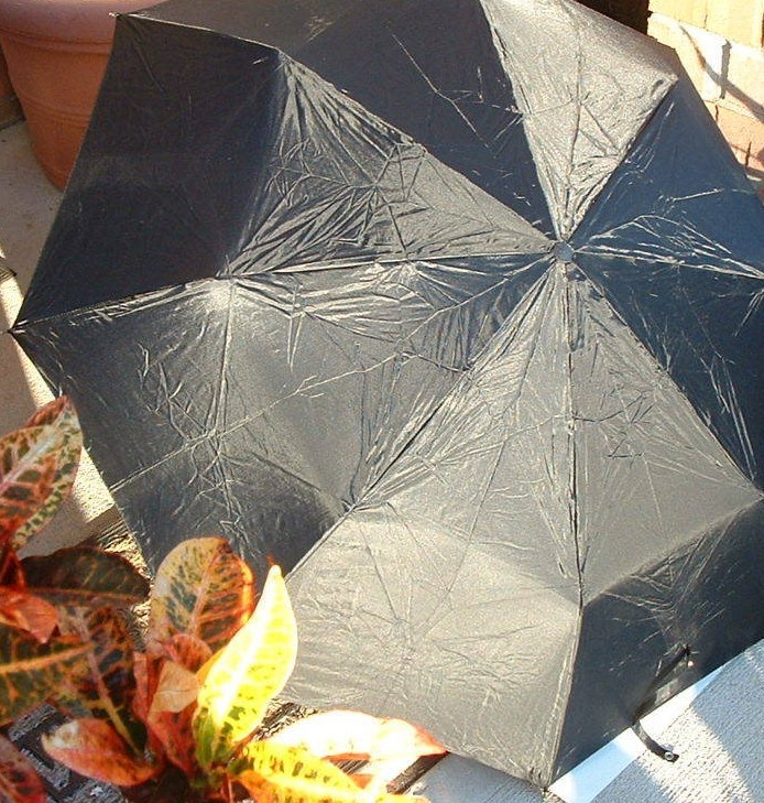 Folding Umbrella Black Oversize Full 42in Arc