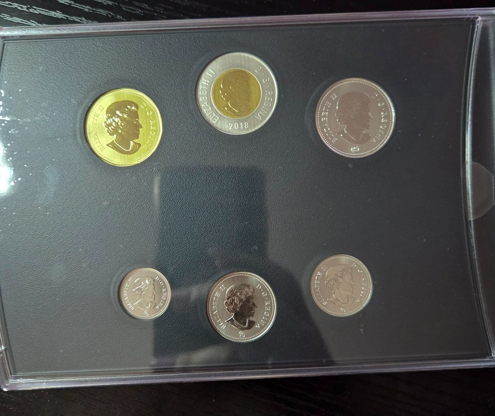 2018 Burrowing Owl Specimen Set
