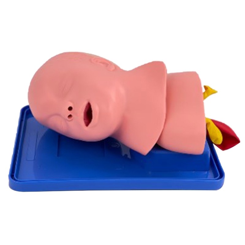 Infant Intubation Training Model for Training Institutions