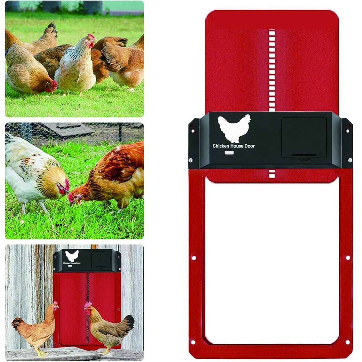 Chicken Coop Door Automatic Waterproof With Light Sensor Poultry Gate Hen