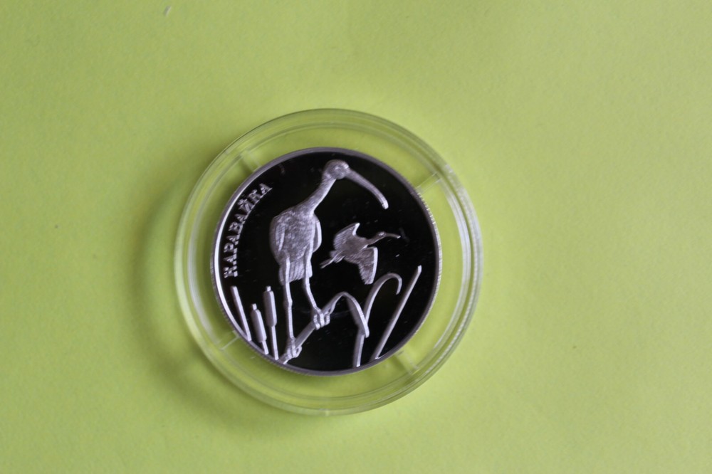 2014 RUSSIA 2 ROUBLES SILVER PROOF COIN