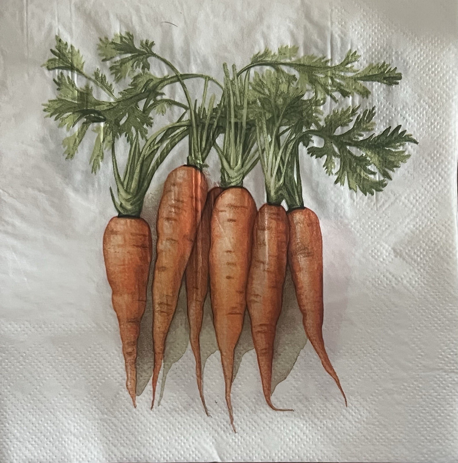 Two Paper LUNCHEON Decoupage Art Craft Napkins Spring Easter Bunny Carrots 6.5