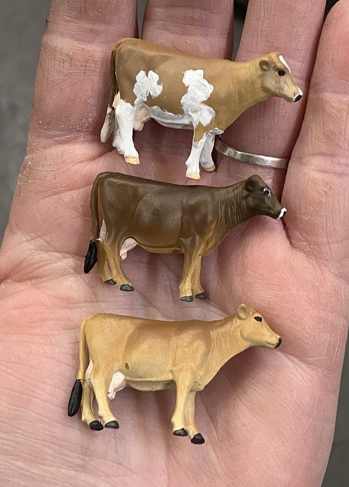 Custom CM Ertl 1:64 Lot Of 13 Jersey Dairy Breed Milk Cows Cattle Farm Scene