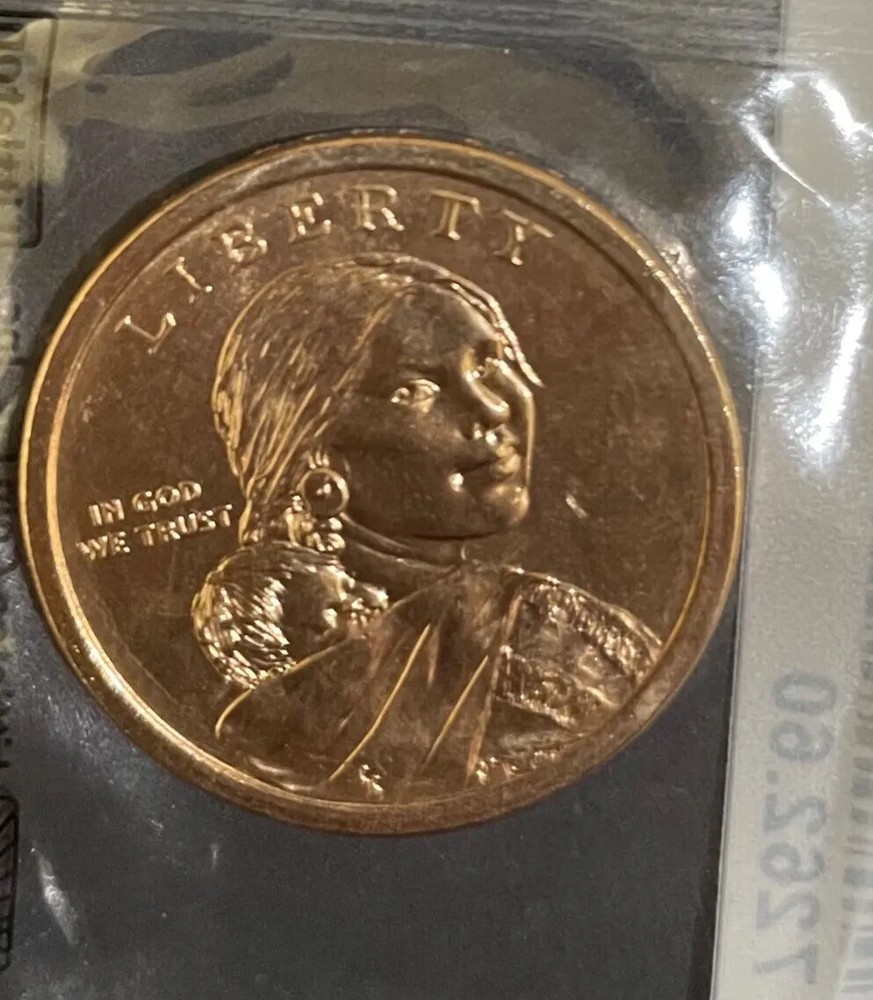 Native American Dollar 2013
