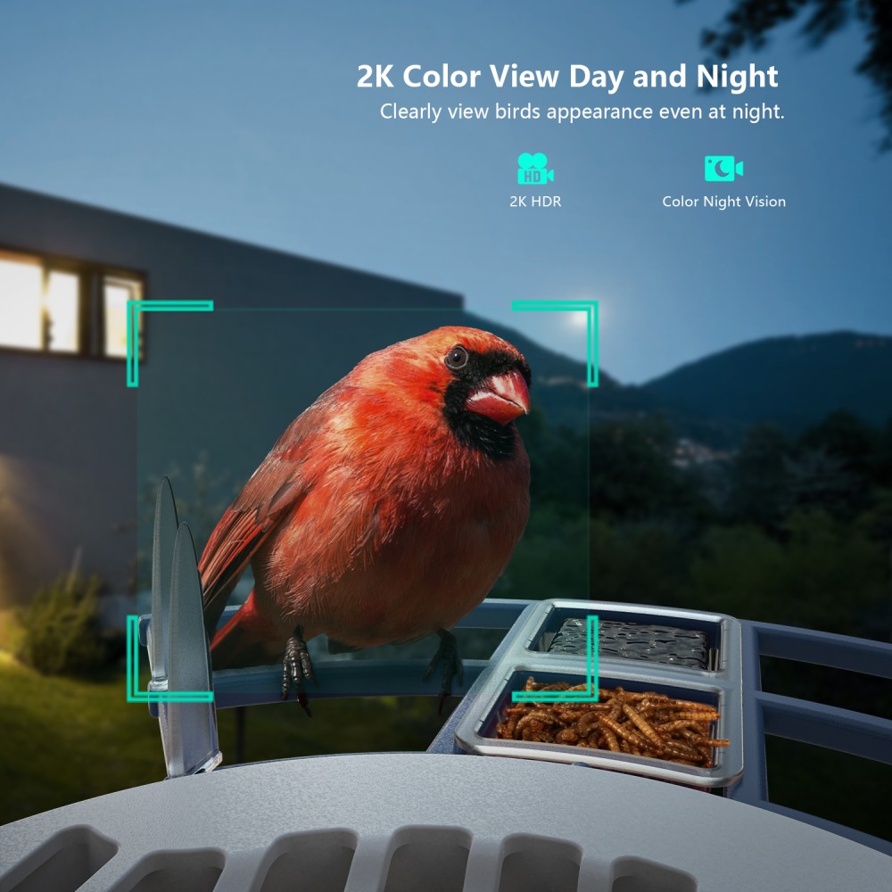 Smart Bird Feeder with Camera Solar Powered Camera Bird Feeder 2K Live Feed Gift