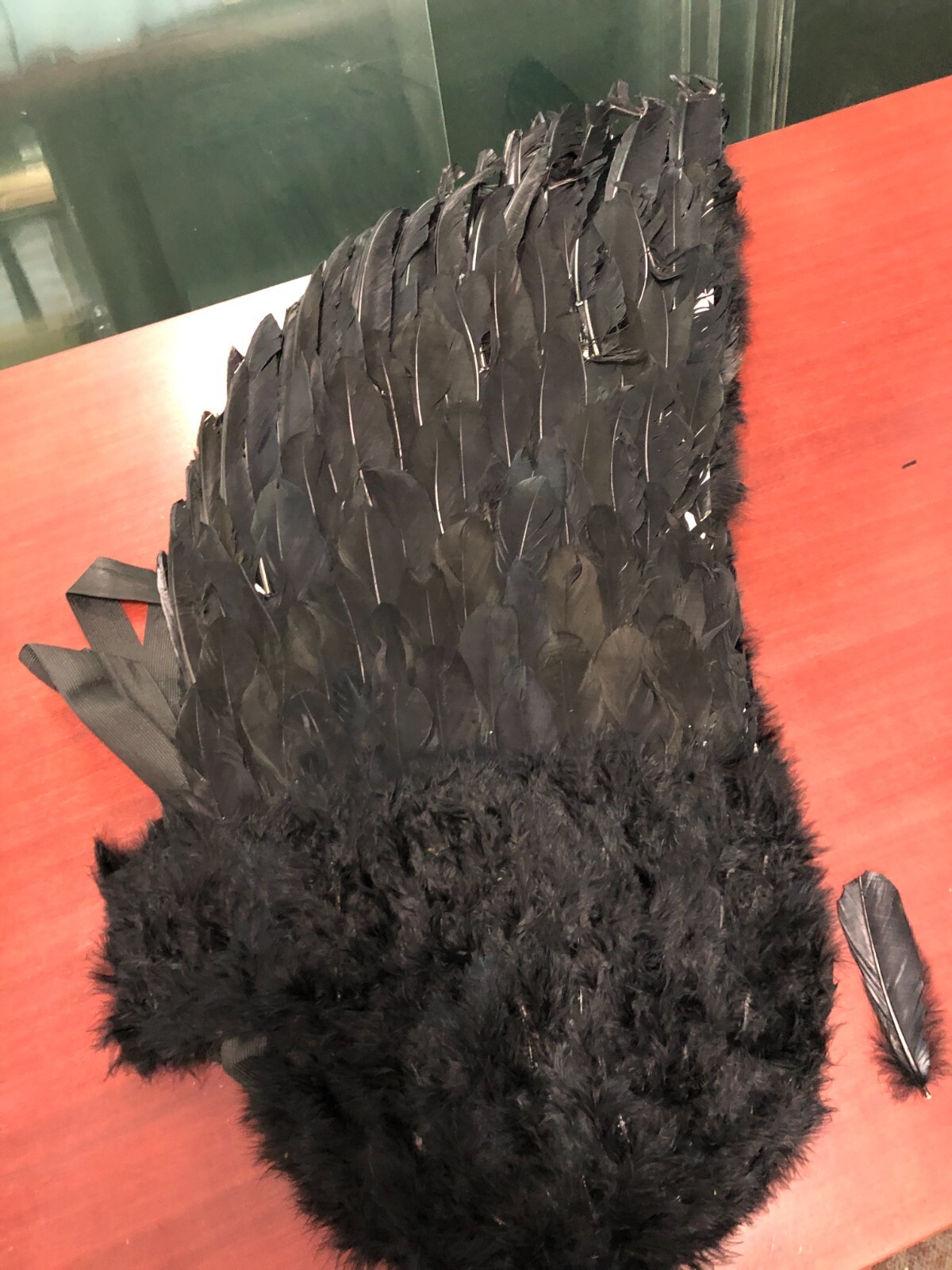 Touch of Nature Black Adult Angel Wings 52" by 36"