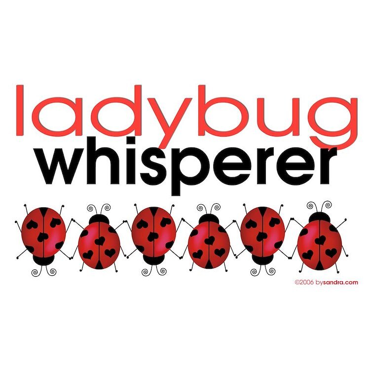 CafePress Ladybug Whisperer 10" Wall Clock (95845111)