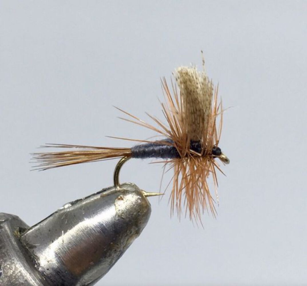 One Dozen (12) Dark Hendrickson Dun Dry Fly- Strike Fly Company