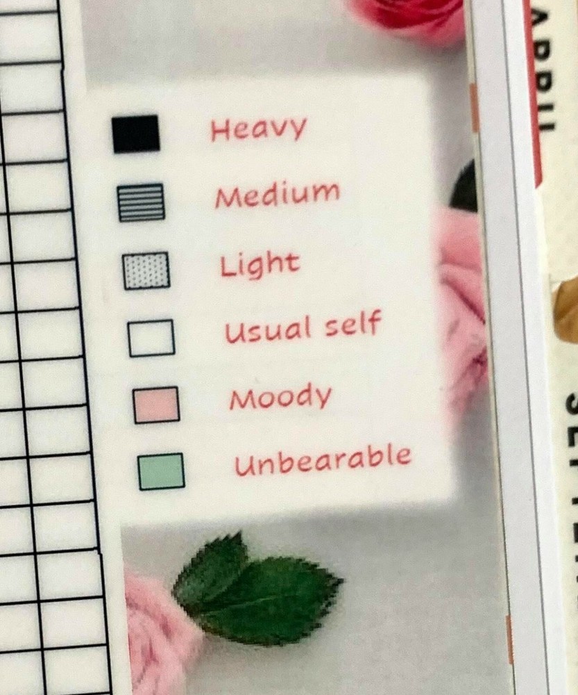 Period Menstrual Cycle Yearly Tracker Dashboard Insert 4 use w HAPPY Planner