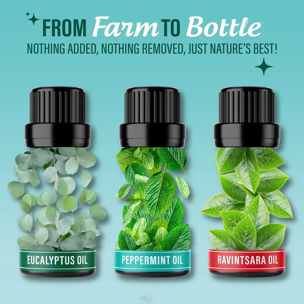 GuruNanda Eucalyptus, Peppermint & Breathe Easy Essential Oils, 15 mL - 3 Pack