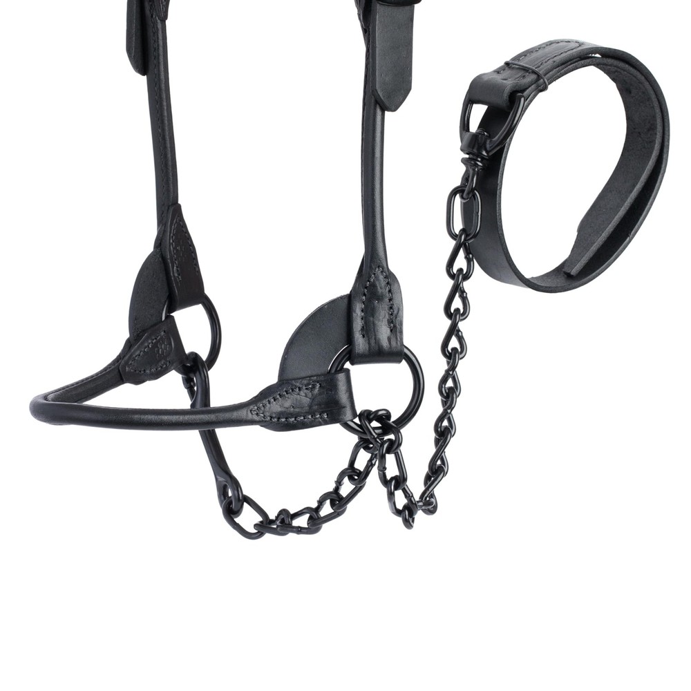 Weaver Leather Livestock Black Magic Show Halter, Medium