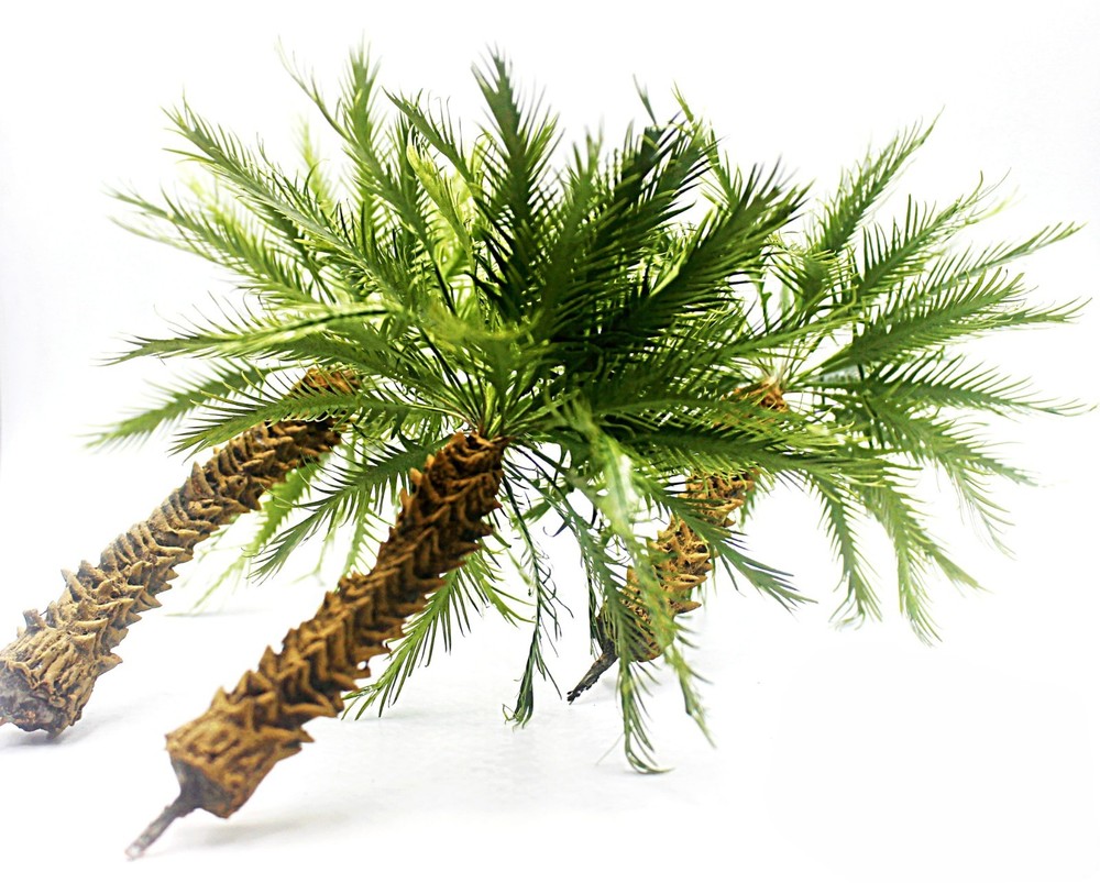 1/35 Scale Desert Palm Tree Model Set – Approx. 26,22,22 cm Height / Bpd-003