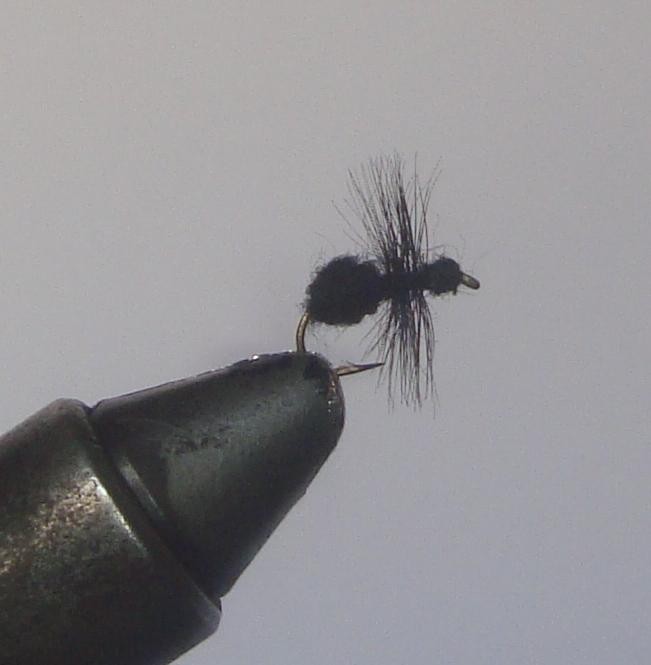 C/A FLIES  BLACK ANT #14 (12)