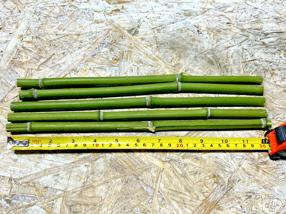 5PCS 1/2" Diameter Fresh Cut Natural Bamboo For Decor 12"