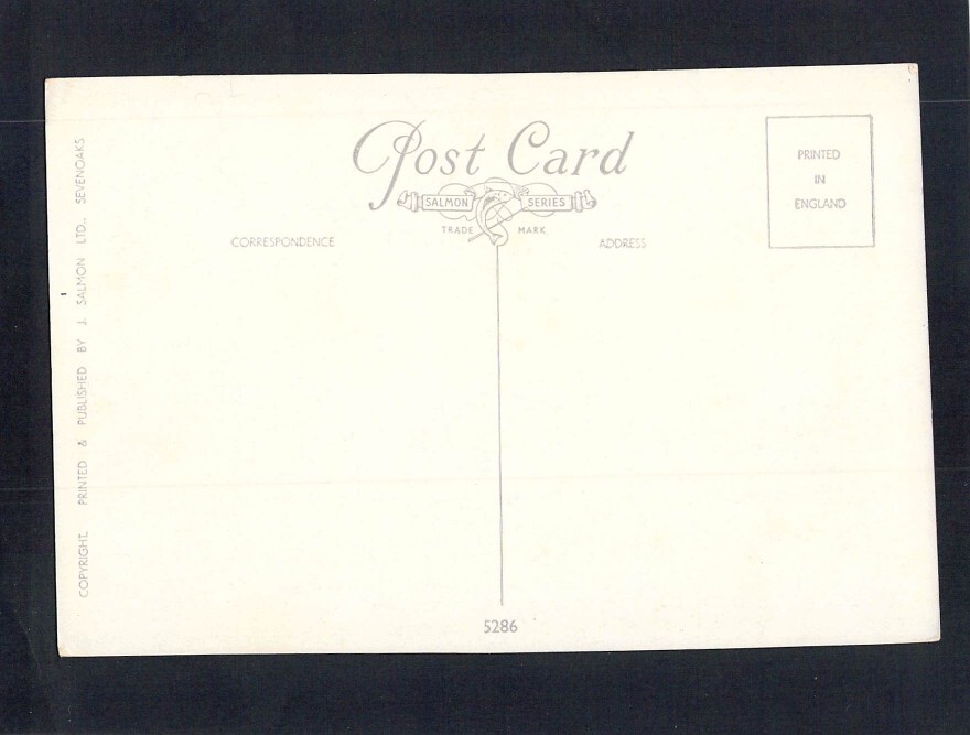 E9761 Flowers Chrysanthenums Salmon postcard
