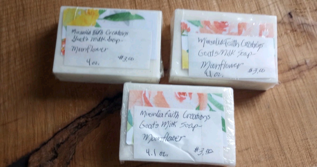 Goat's Milk Soap - 2/$6 Your Choice Of Scents!