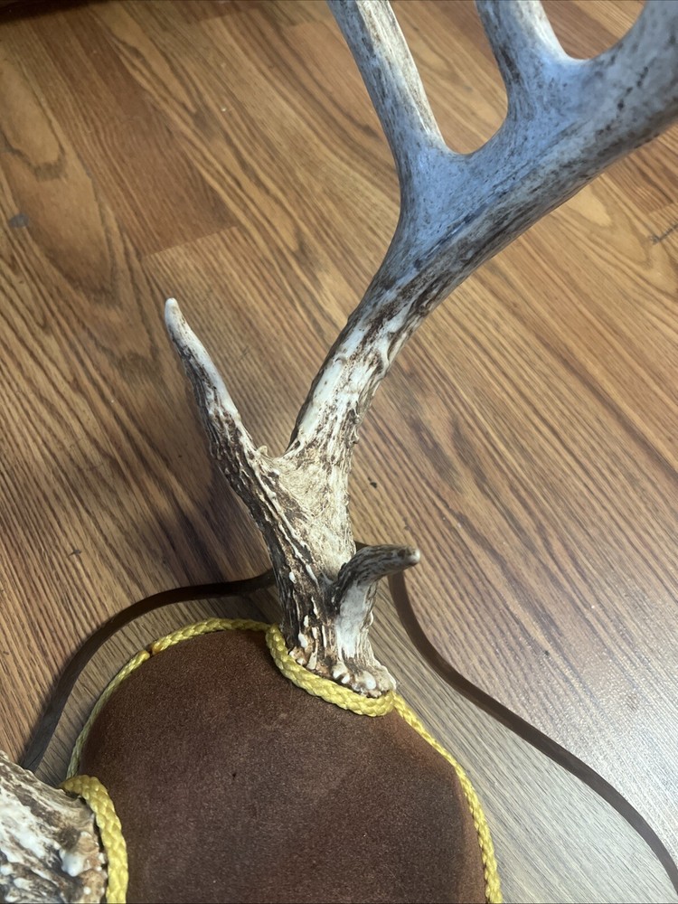 Deer Rack