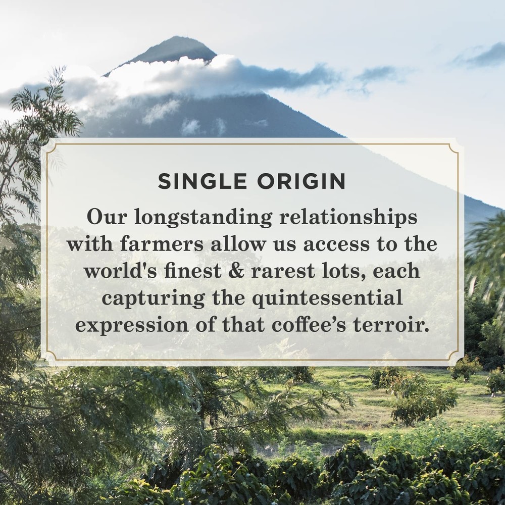 , Medium Roast Ground Coffee - Single Origin Brazil 18 Ounce Bag