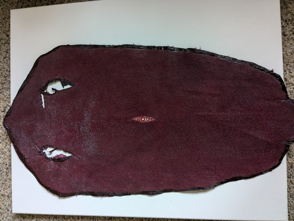 11" burgandy stingray pelt
