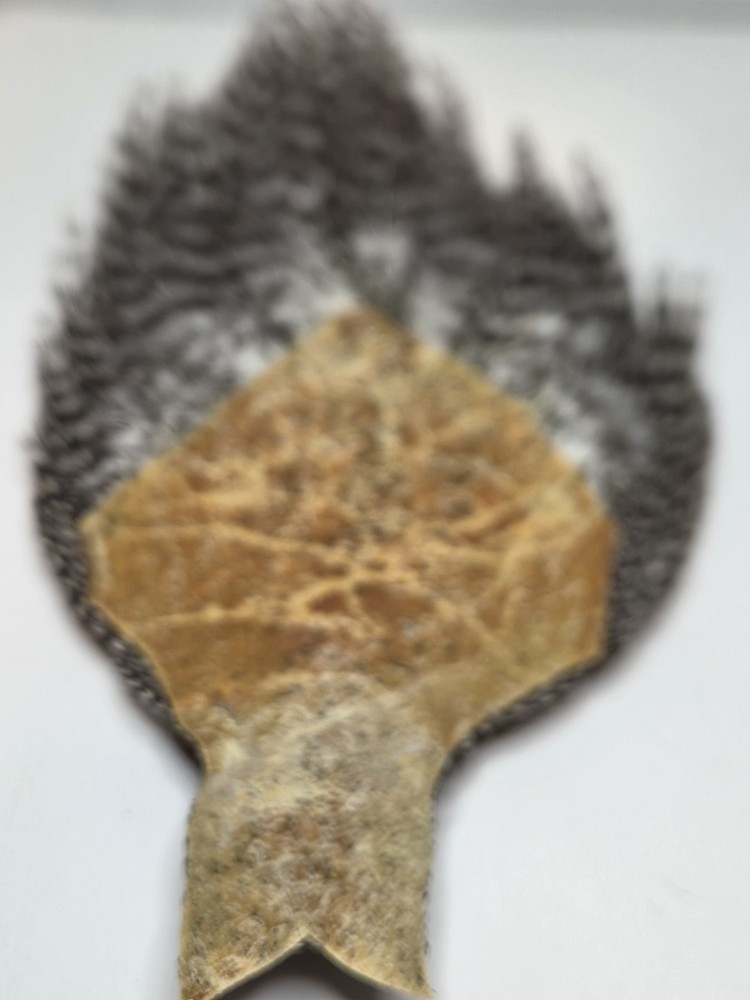 METZ Grizzly Neck Hackles Feathers Fly Tying Materials