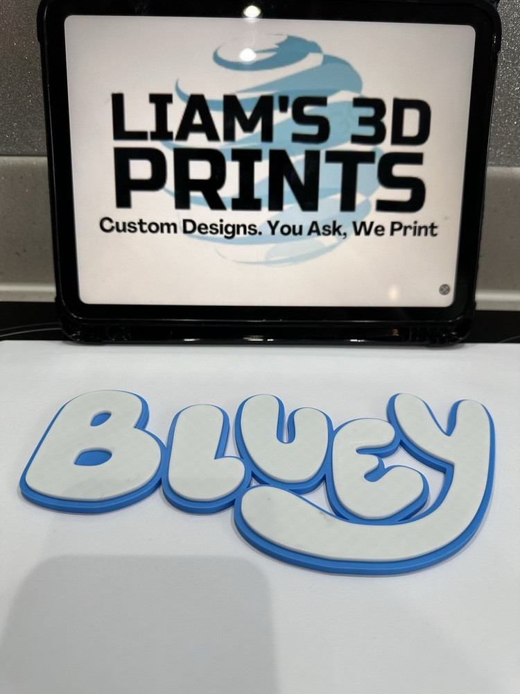 Decorative Bluey Tv logo Sign Display Wall