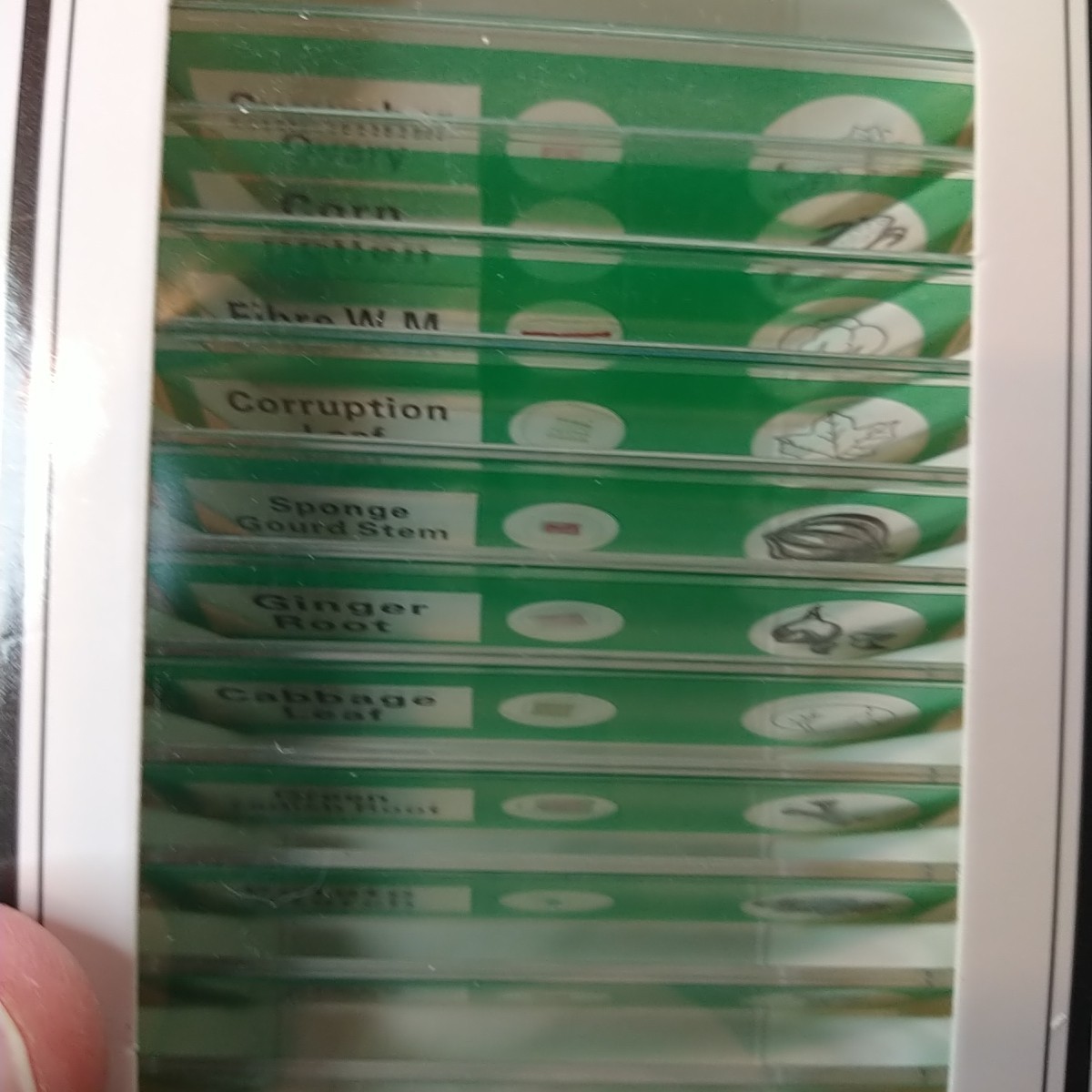 48Pcs Prepared Microscope Slides Specimen Animals Insects Plants Flowers Sample