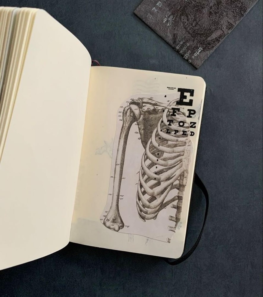 Moleskine Skull Design Note