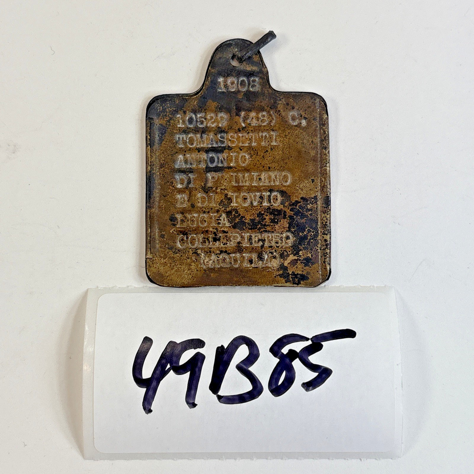 WW1 Italian Army dog ID Tag 1908 Tomassetti Antonio Collepietro (Aquila) 49B85