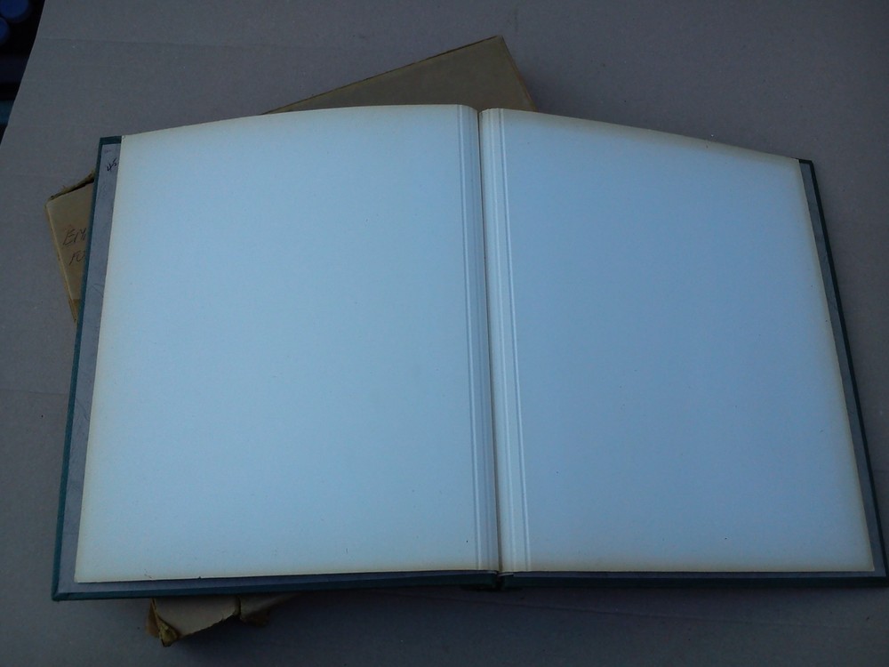 Stanley Gibbons Springback New Age Stamp Album Folder Binder Storage Green EMPTY