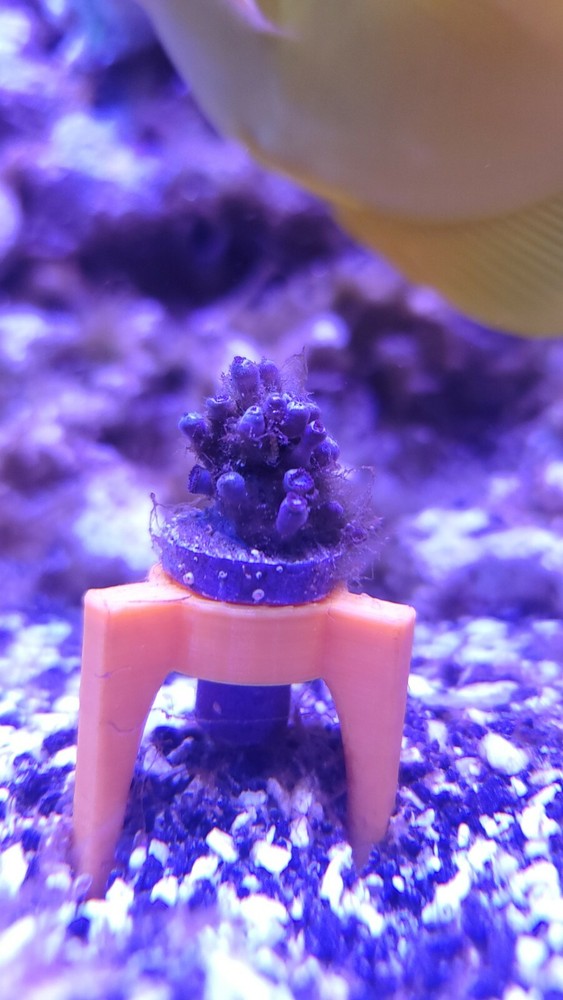 3d Printed Frag Plug Holder Rack