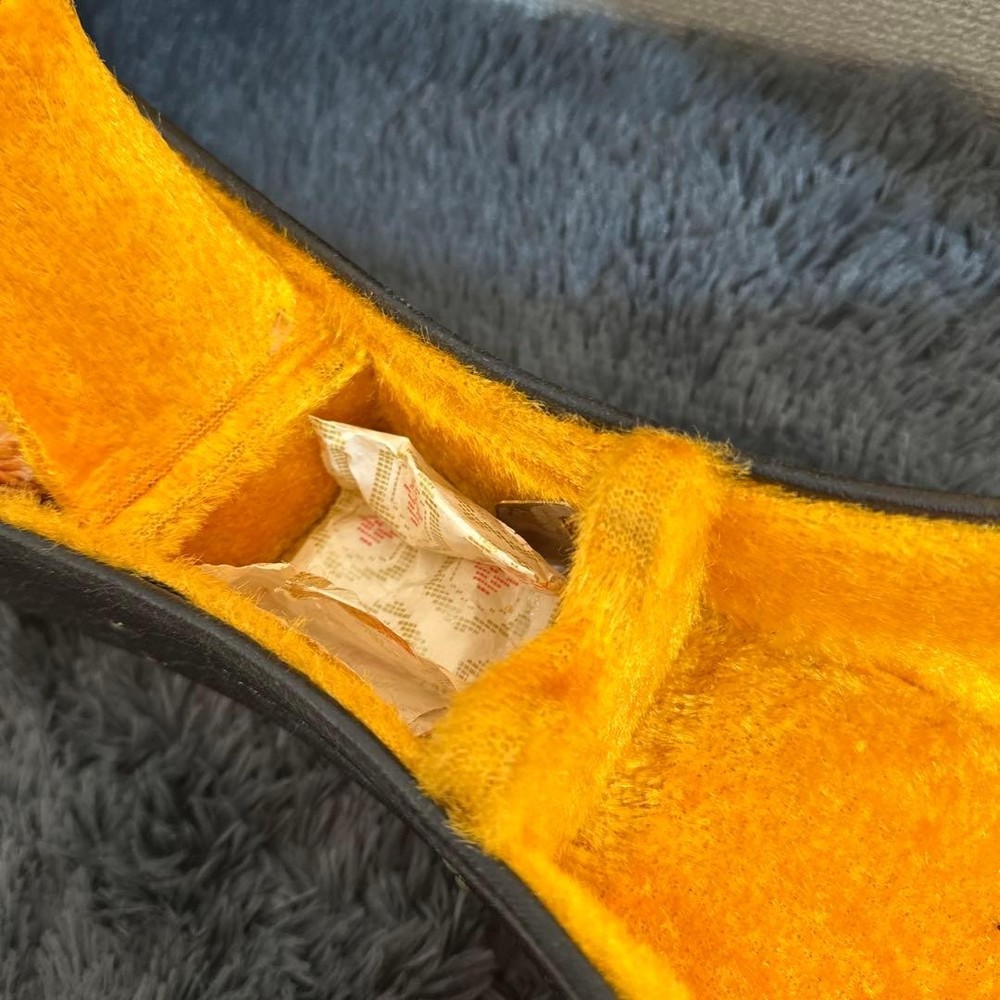 Misuzu Mandolin String Instrument Hard Case Supervised by Minoru Noguchi Luxury